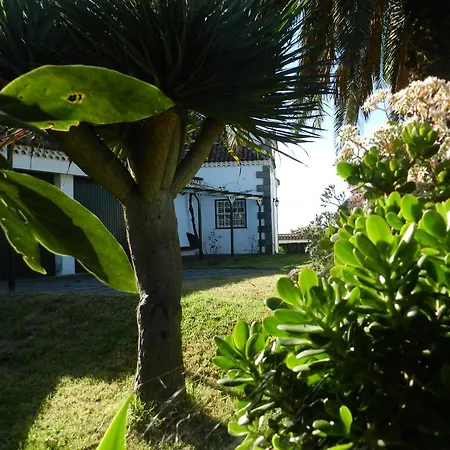 El Lagar De Piedra 別荘