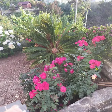 El Lagar De Piedra San Juan de la Rambla