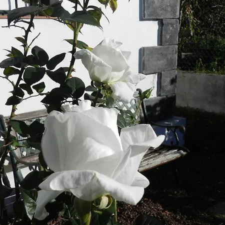 El Lagar De Piedra Feriehus *