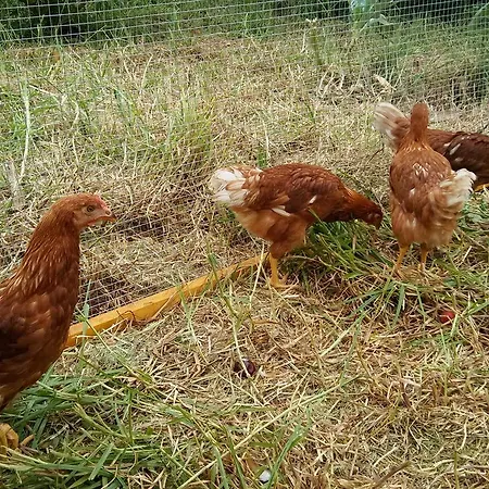 El Lagar De Piedra San Juan de la Rambla