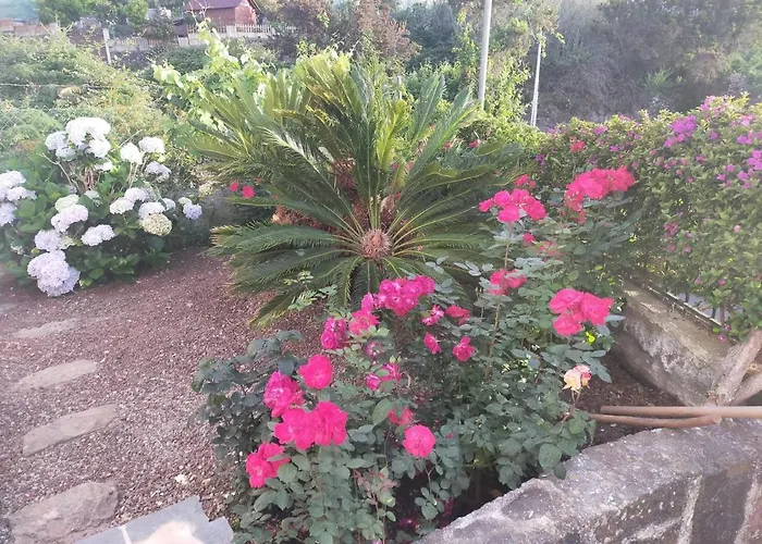 El Lagar De Piedra San Juan de la Rambla