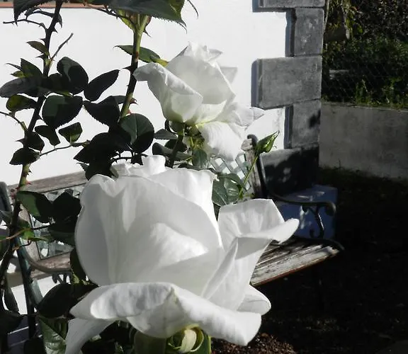 El Lagar De Piedra Hébergement de vacances *