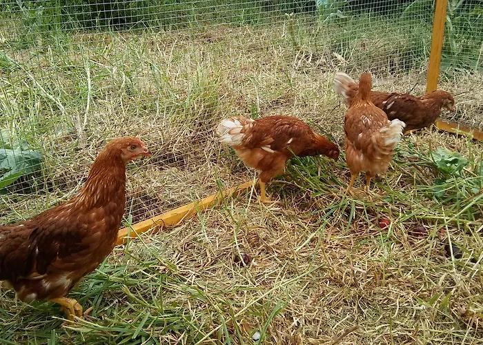 El Lagar De Piedra San Juan de la Rambla