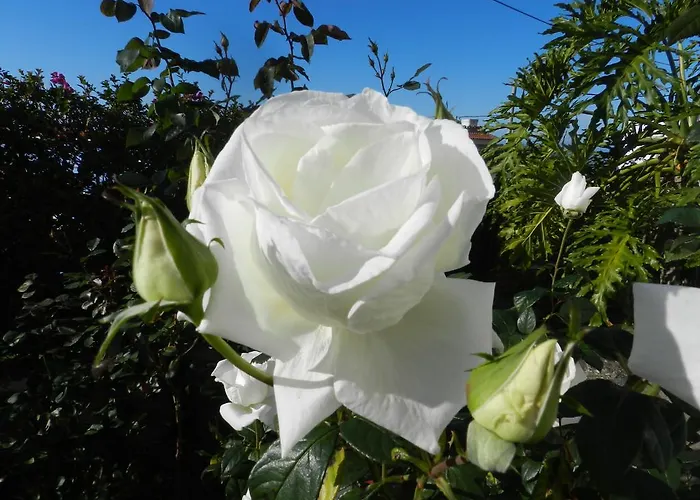 El Lagar De Piedra Feriehus