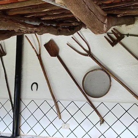 El Lagar De Piedra * San Juan de la Rambla